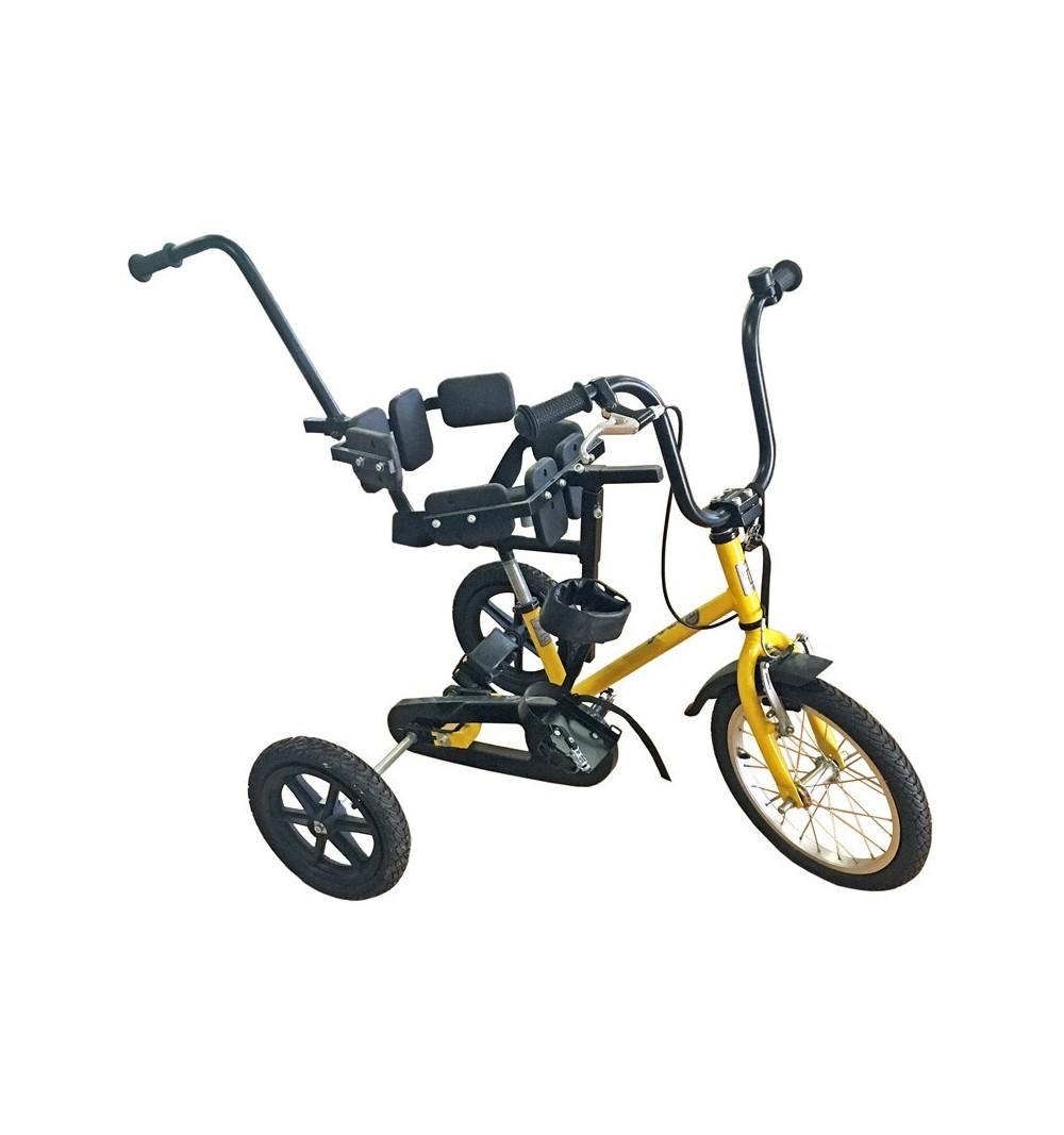 Lick begin groove Tricicleta pentru copii cu dizabilitati - 115D